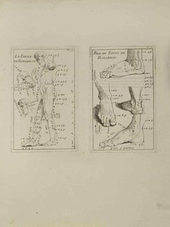 Anatomy Studies - Etching by Jean François Poletnich - 18th Century