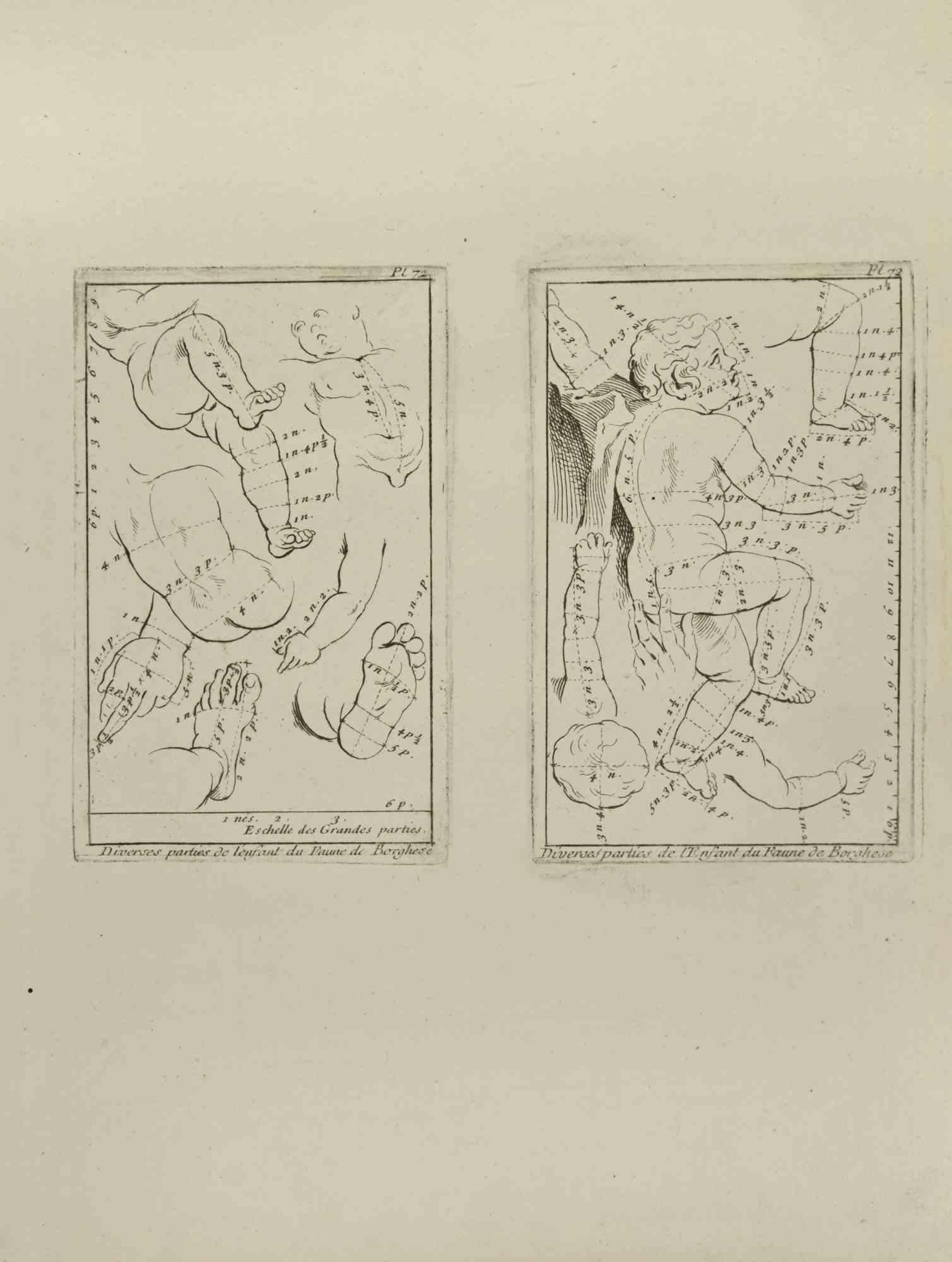 Anatomy Studies is an etching realized by Jean Francois Poletnich in 1755.

Good conditions with foxing.

The artwork is depicted through confident strokes.

The etching was realized for the anatomy study “JOMBERT, Charles-Antoine (1712-1784) -