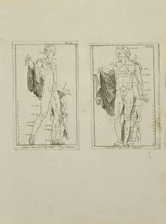 Apollon - Aguafuerte de Jean François Poletnich - Siglo XVIII