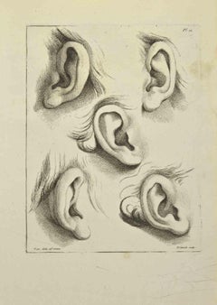 Ears - Etching by Jean François Poletnich - 1755