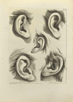 Ears - Etching by Jean François Poletnich - 1755