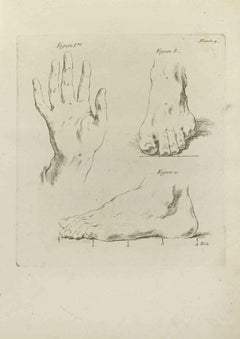 Hands and Feet - Etching by Jean François Poletnich - 1755