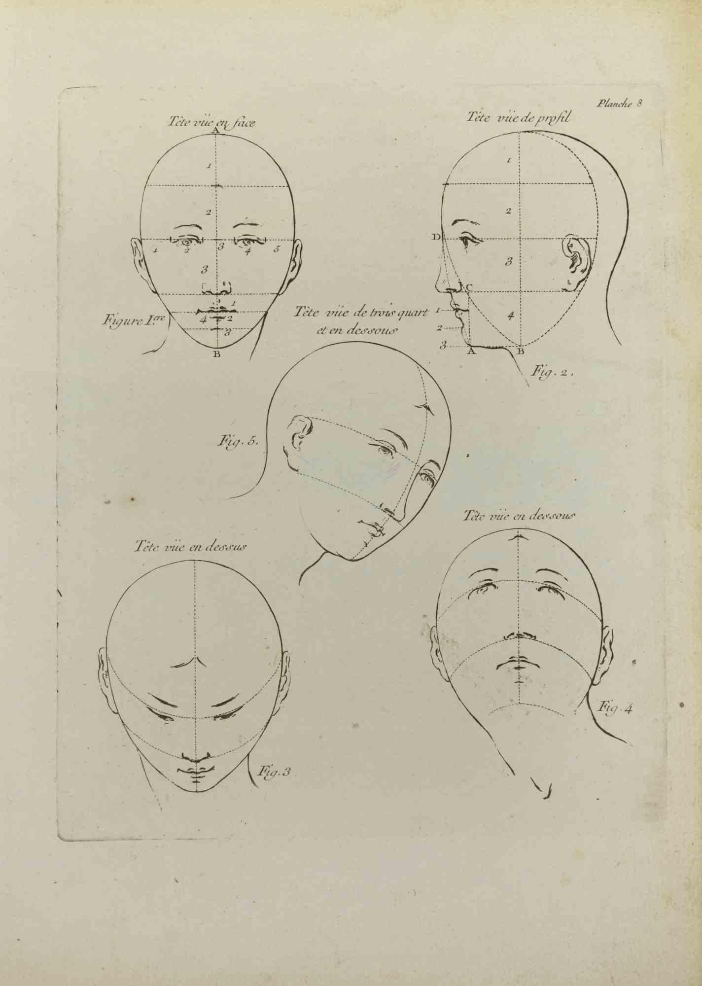 Heads Proportion is an etching realized by Jean Francois Poletnich in 1755.

Good conditions with foxing and folding.

The artwork is depicted through confident strokes.

The etching was realized for the anatomy study “JOMBERT, Charles-Antoine
