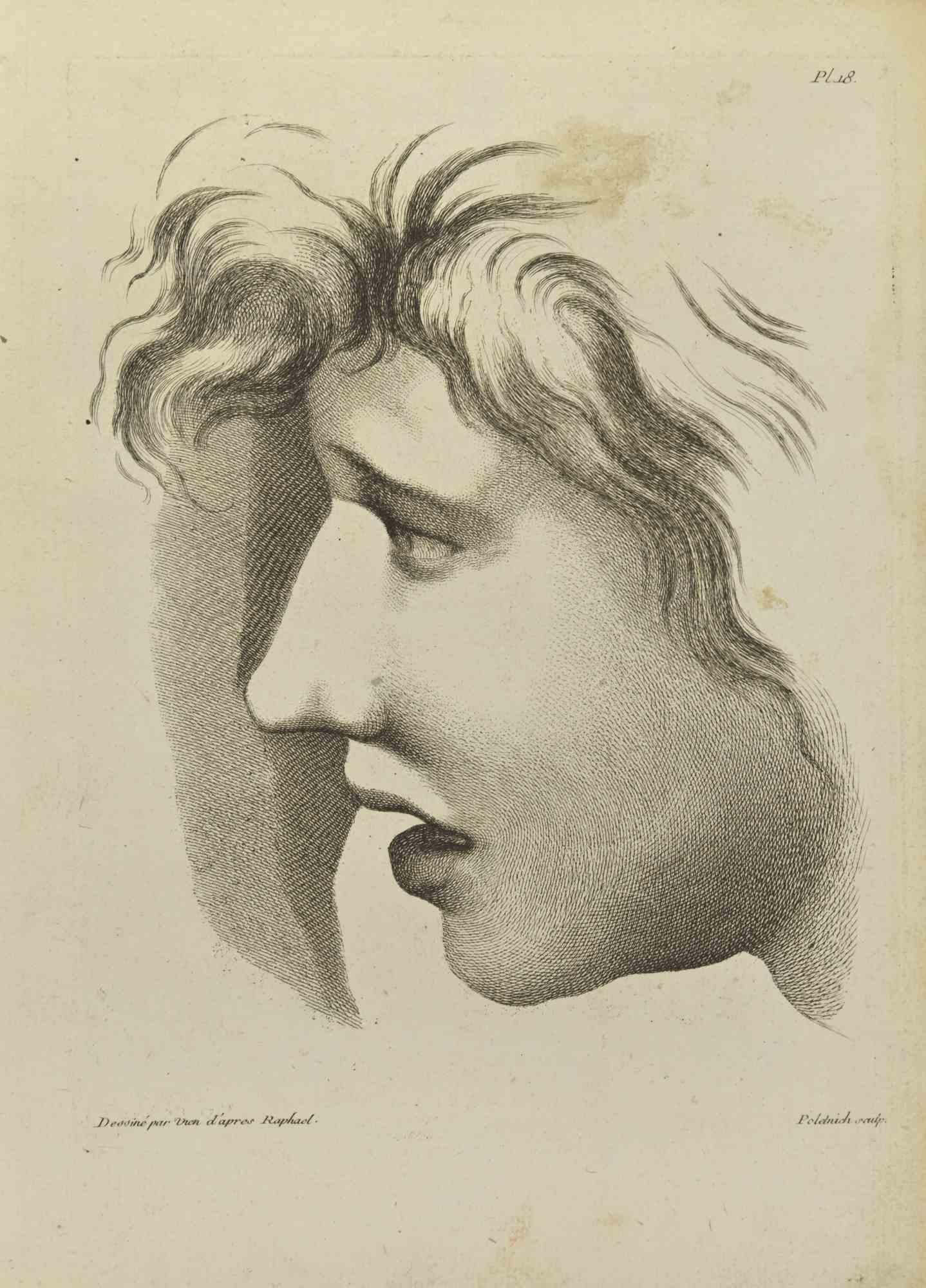 Portrait d'après Raphaël - Gravure de Jean François Poletnich - 1755