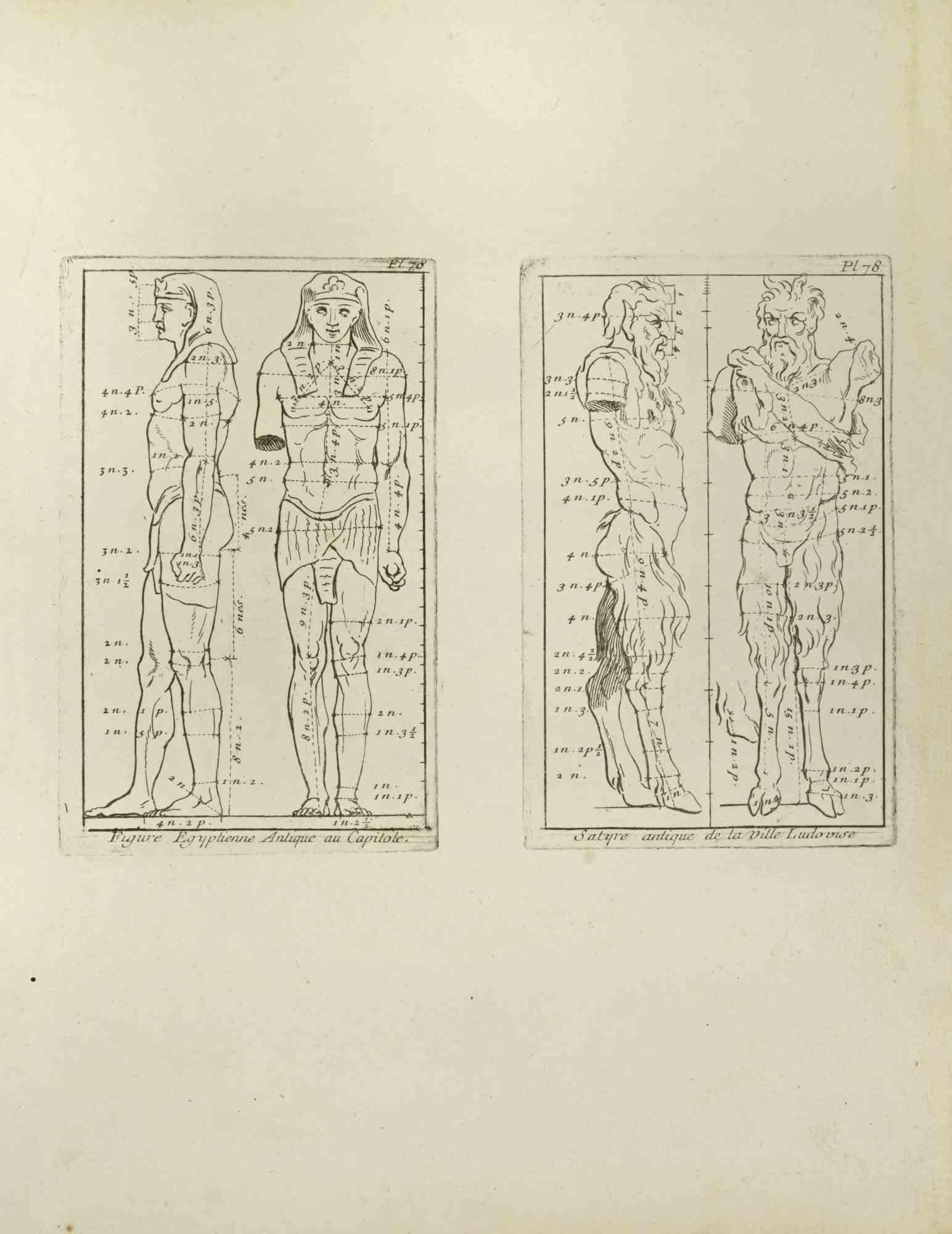 Satyre is an etching realized by Jean Francois Poletnich in 1755.

Good conditions with foxing.

The artwork is depicted through confident strokes.

The etching was realized for the anatomy study “JOMBERT, Charles-Antoine (1712-1784) - Méthode pour