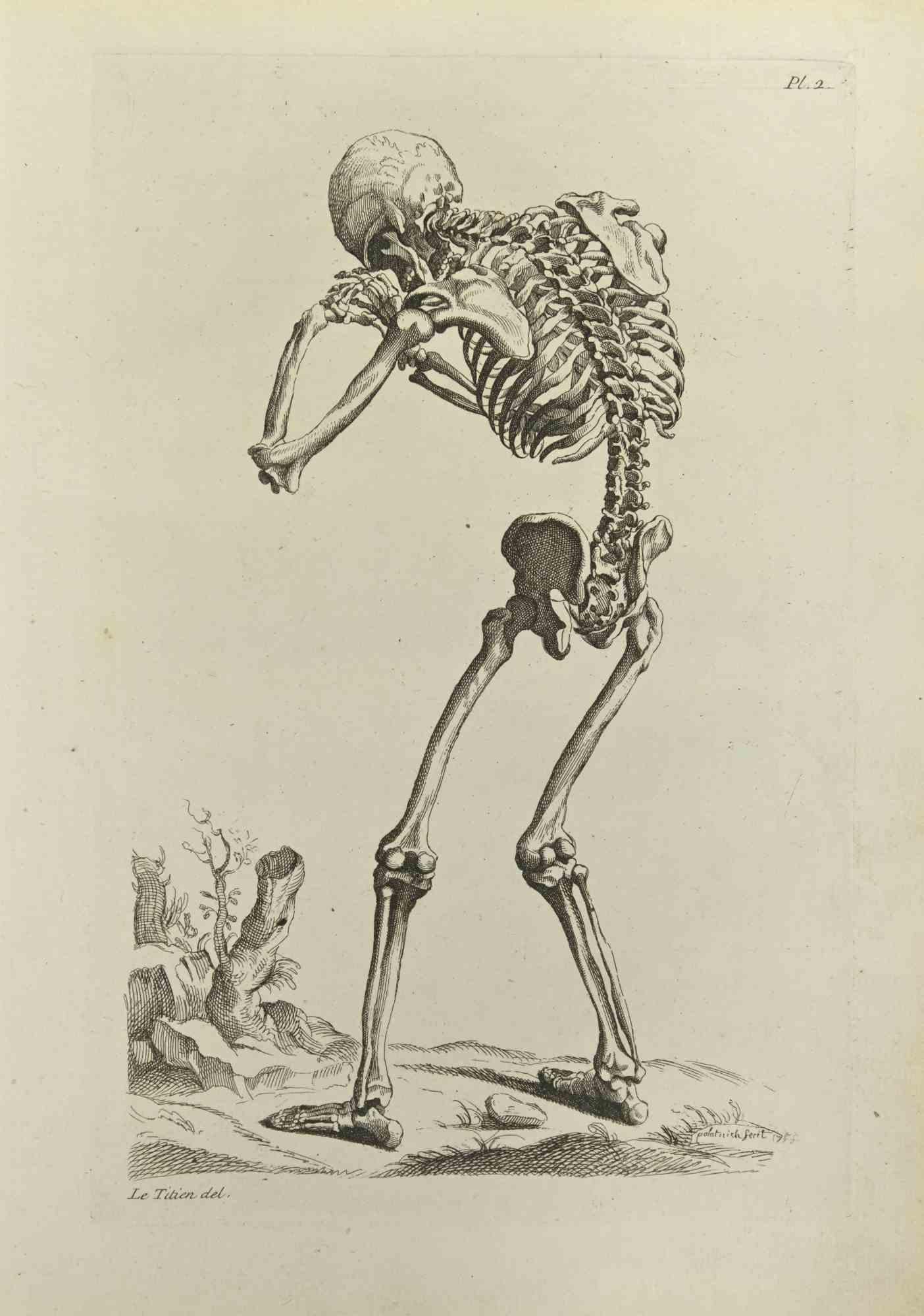 Skeleton after Titian is an etching realized by Jean Francois Poletnich in 1755.

Signed in the plate.

Good conditions with foxing.

The artwork is depicted through confident strokes.

The etching was realized for the anatomy study “JOMBERT,
