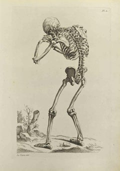 Skeleton after Titian - Etching by Jean François Poletnich - 1755