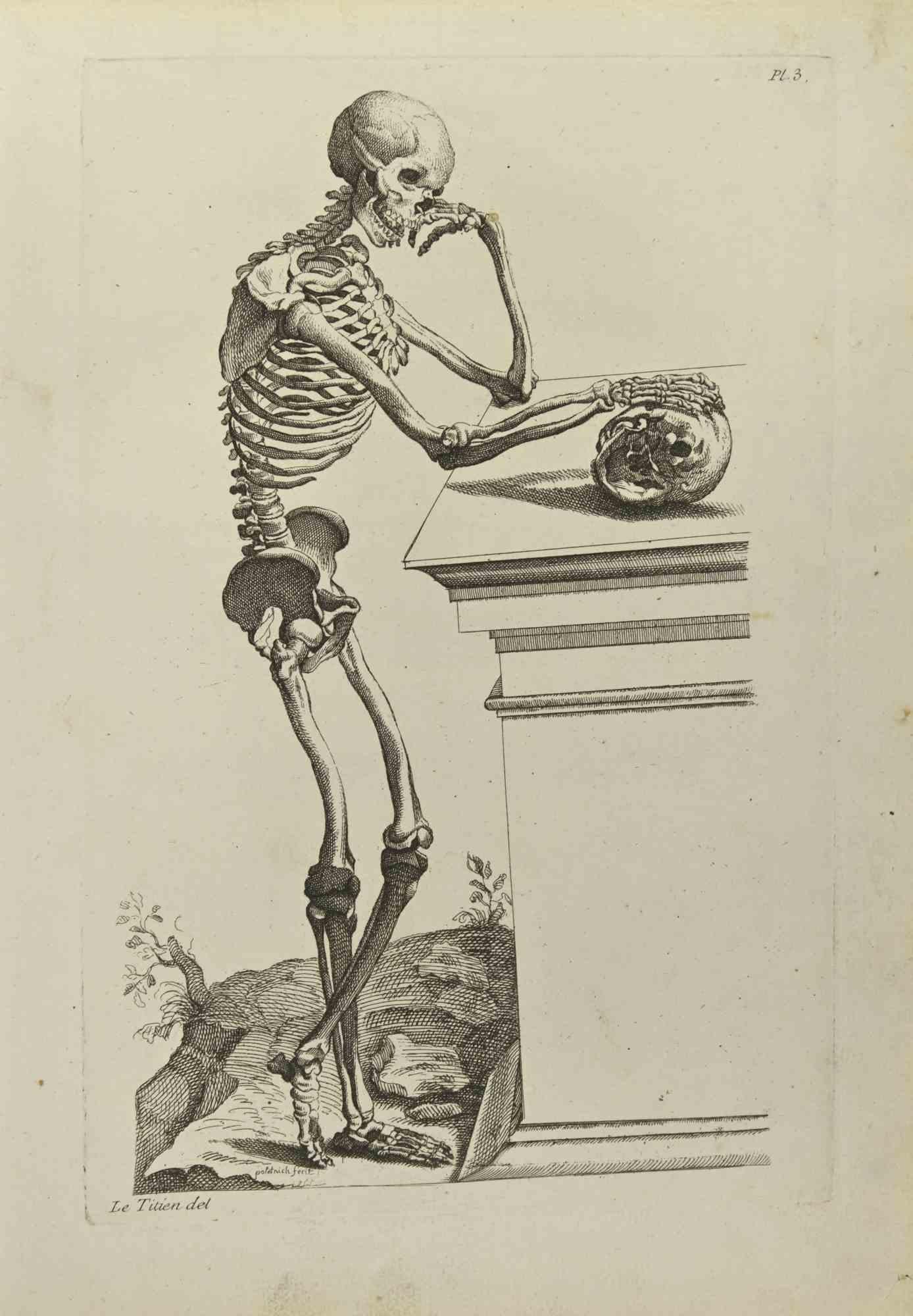 Skeleton after Titian is an etching realized by Jean Francois Poletnich in 1755.

Signed in the plate.

Good conditions with foxing and folding.

The artwork is depicted through confident strokes.

The etching was realized for the anatomy study