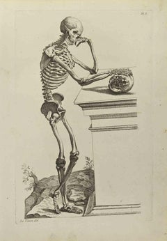 Used Skeleton after Titian - Etching by Jean François Poletnich - 1755