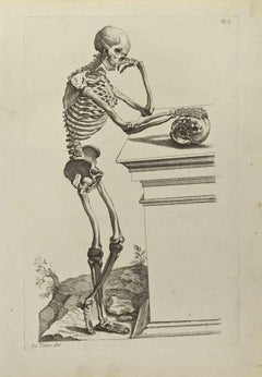 Skeleton after Titian - Etching by Jean François Poletnich - 1755