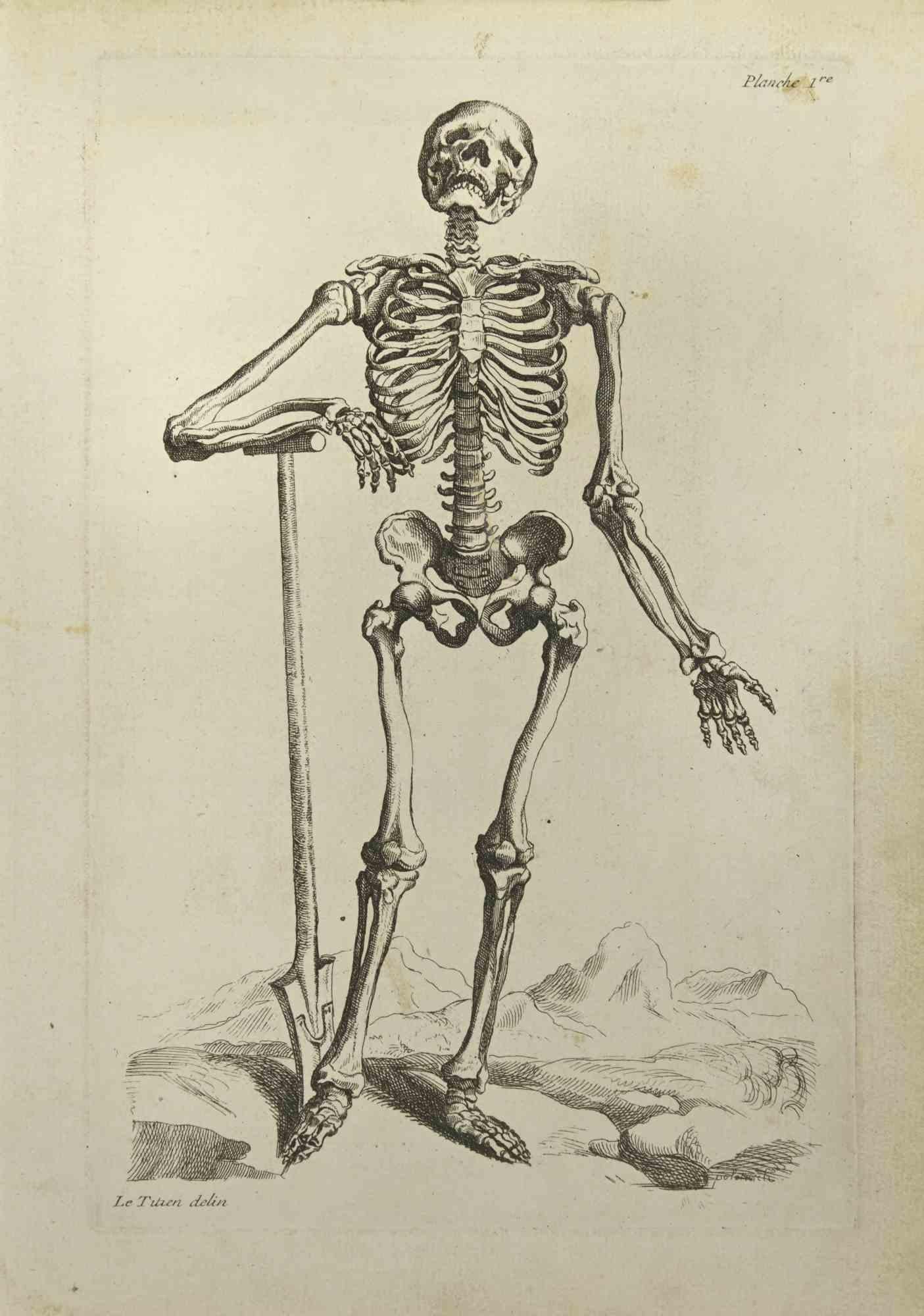 Skeleton After Titian is an etching realized by Jean Francois Poletnich in 1755.

Good conditions with foxing and folding.

The artwork is depicted through confident strokes.

The etching was realized for the anatomy study “JOMBERT, Charles-Antoine
