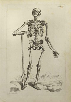 Skeleton after Titian - Etching by Jean François Poletnich - 1755