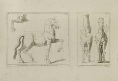 Study of Horse - Plate 80 - Etching by Jean François Poletnich - 18th Century