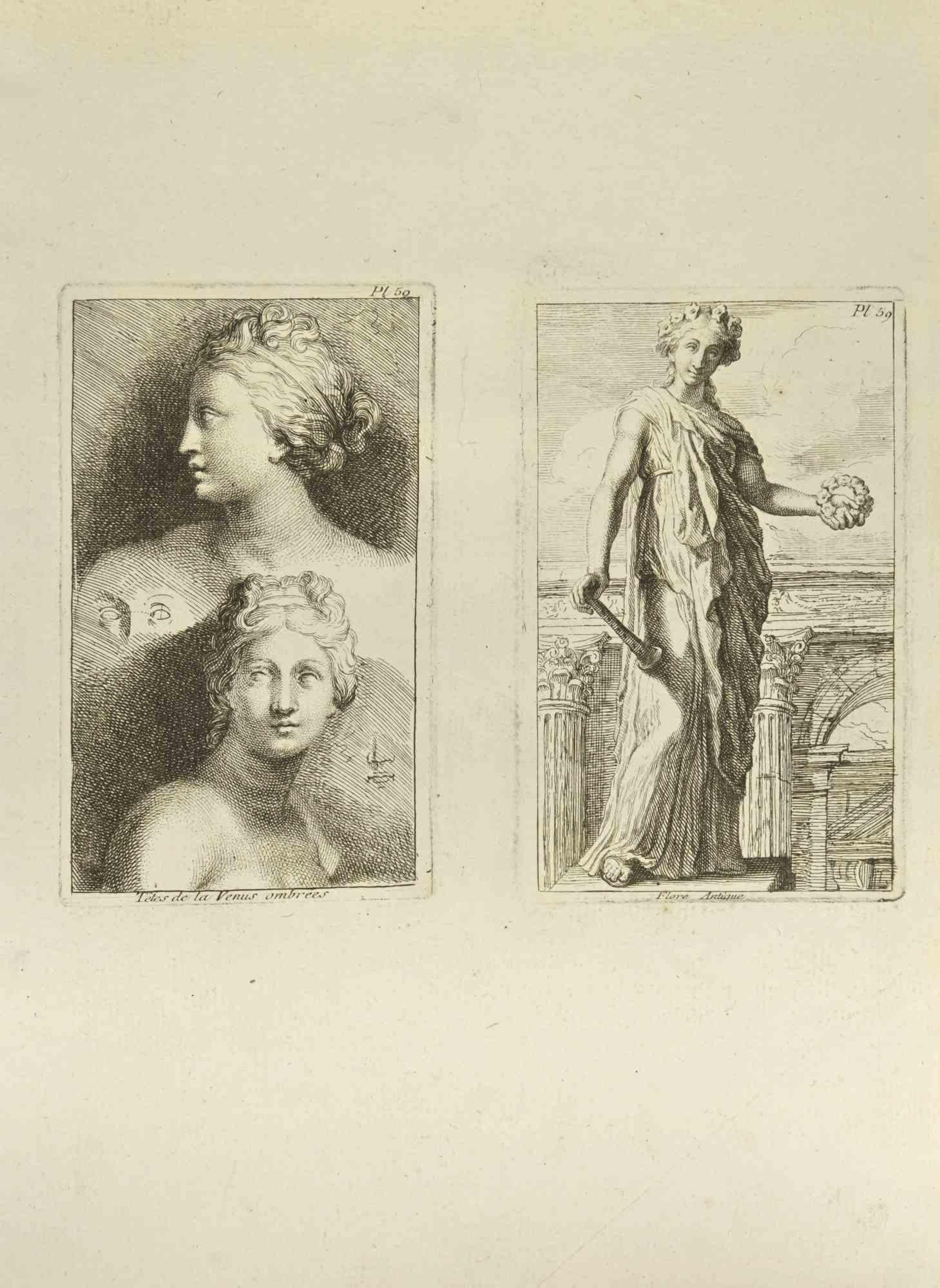 Venus is an etching realized by Jean François Poletnich in 18th Century.

Good conditions.

The artwork is depicted through confident strokes.
