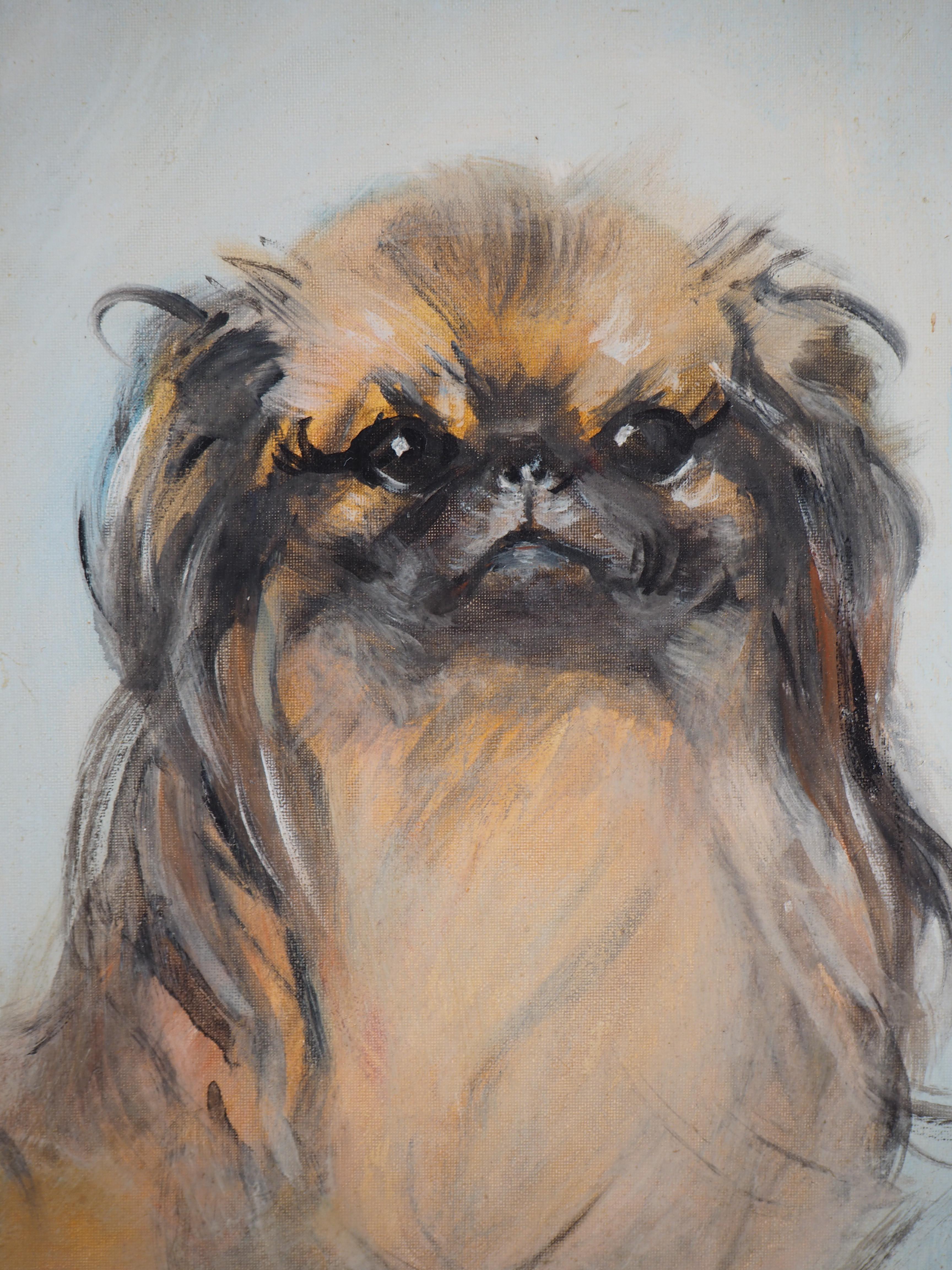 Jean-Gabriel DOMERGUE
Ku-Zee, The Pekinese Dog

Original oil painting
Handsigned bottom right
Titled on the back, with signed dedication
On panel 32 x 24 cm (c. 13 x 10 in)
With frame 39 x 30 cm (c. 16 x 12 in)

Very good condition, minor use to the