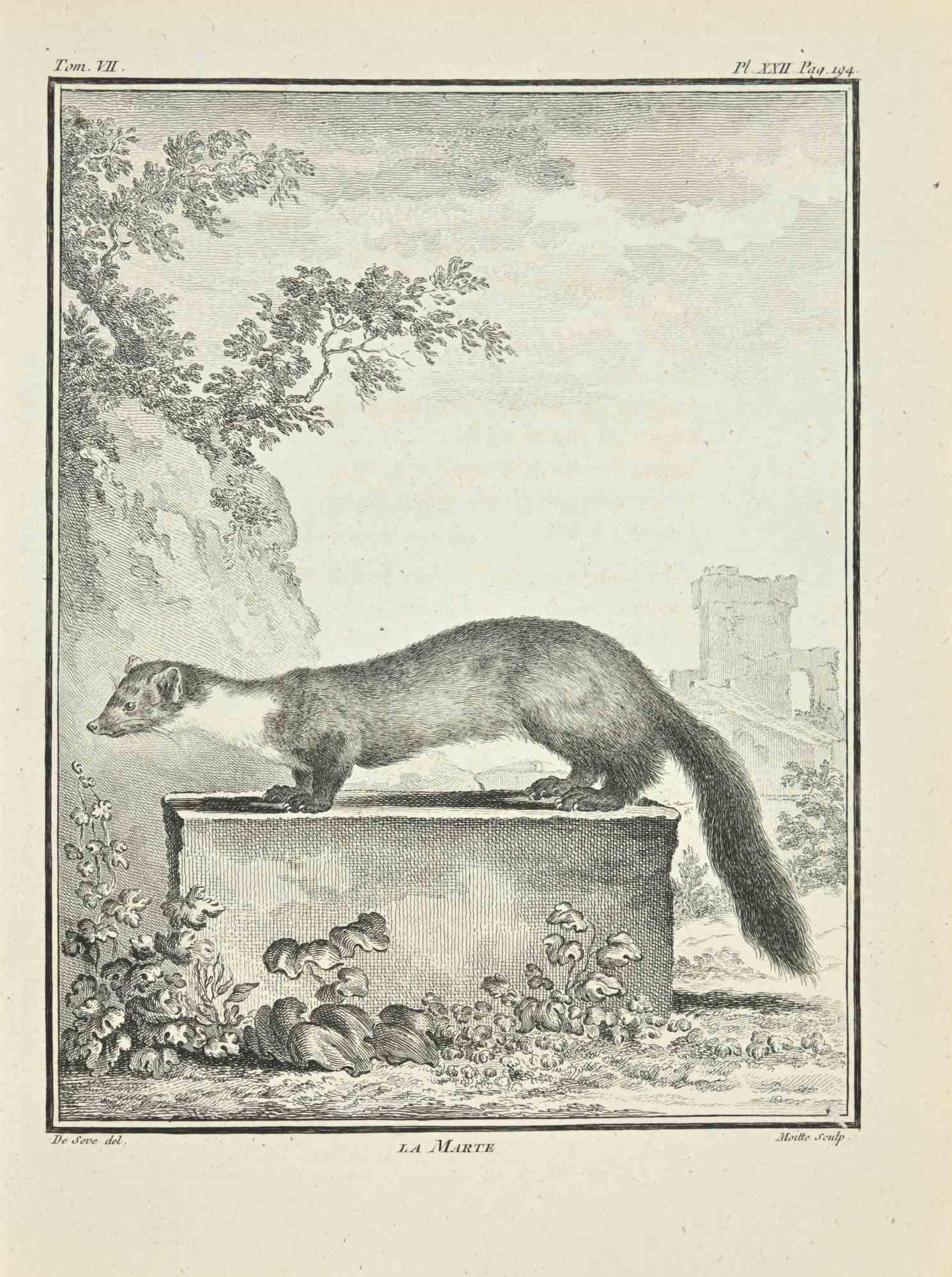 La Marte is an etching realized by Jean Gullaume Moitte in 1771.

It belongs to the suite "Histoire naturelle, générale et particulière avec la description du Cabinet du Roi".

Artist's signature engraved lower right.

Good conditions