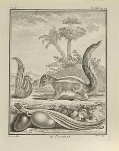 Le Palmiste - Gravure de Jean Gullaume Moitte - 1771