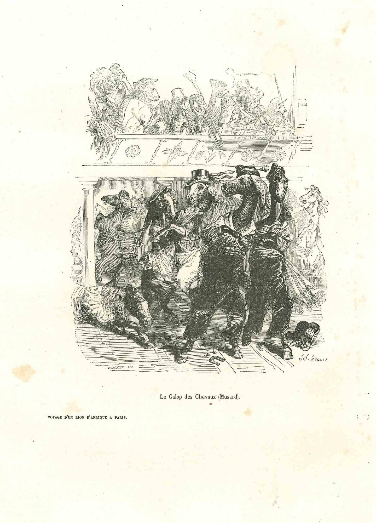 Animal Print Jean Jeacques Grandville - Les chevaux dansant dans un concert - Lithographie originale de J.J Grandville - 1852
