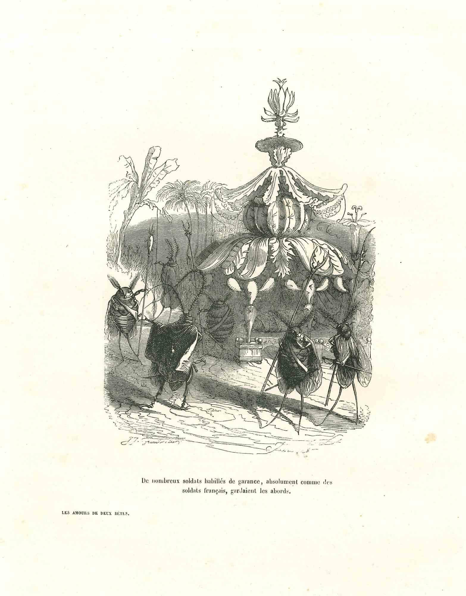 Jean Jeacques Grandville Animal Print - Flies Soldiers Guarding In The Wood - Lithograph by J.J Grandville - 1852