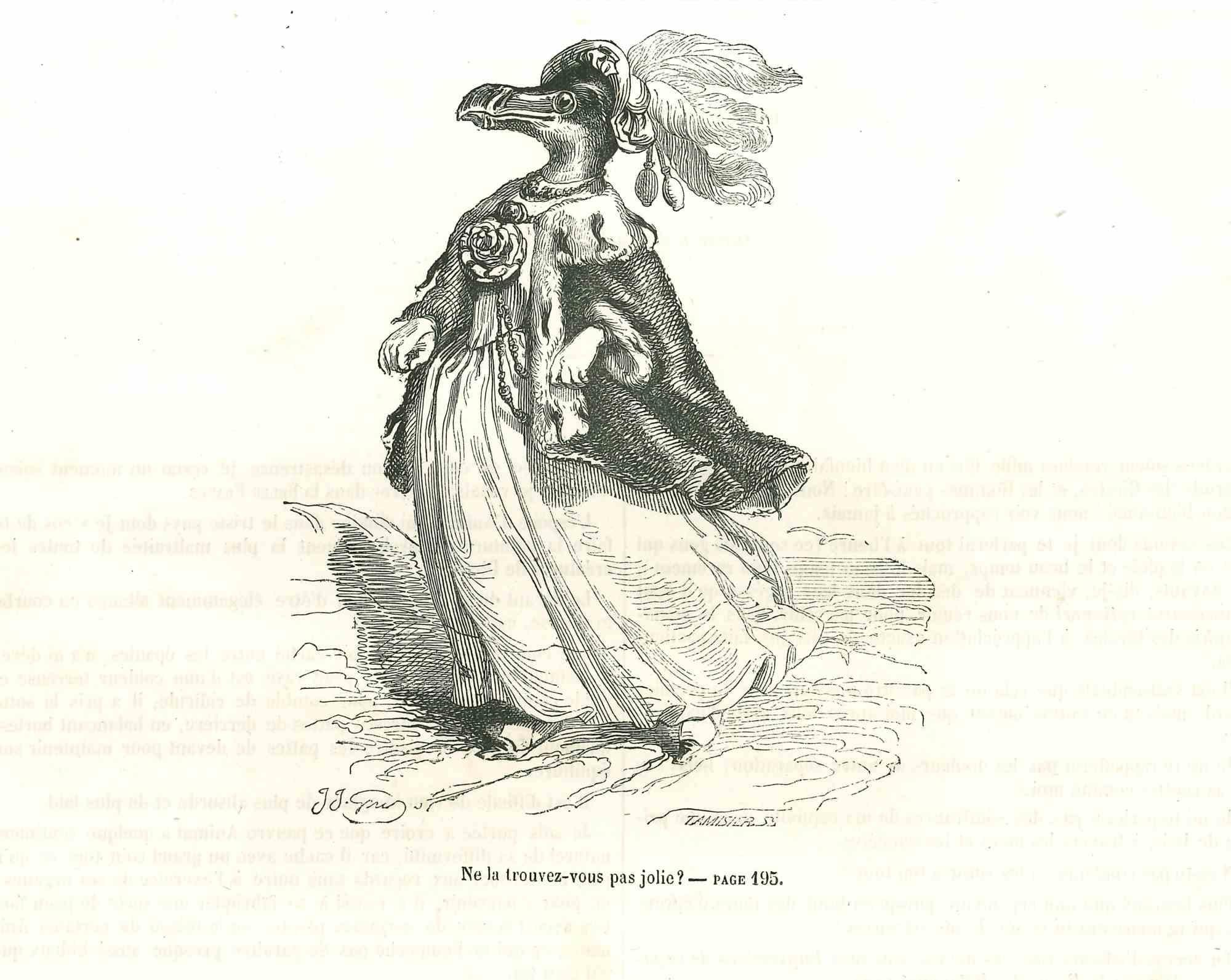 Miss.Bird  " Don't  Find Her Pretty?" - Lithograph by J.J Grandville - 1852