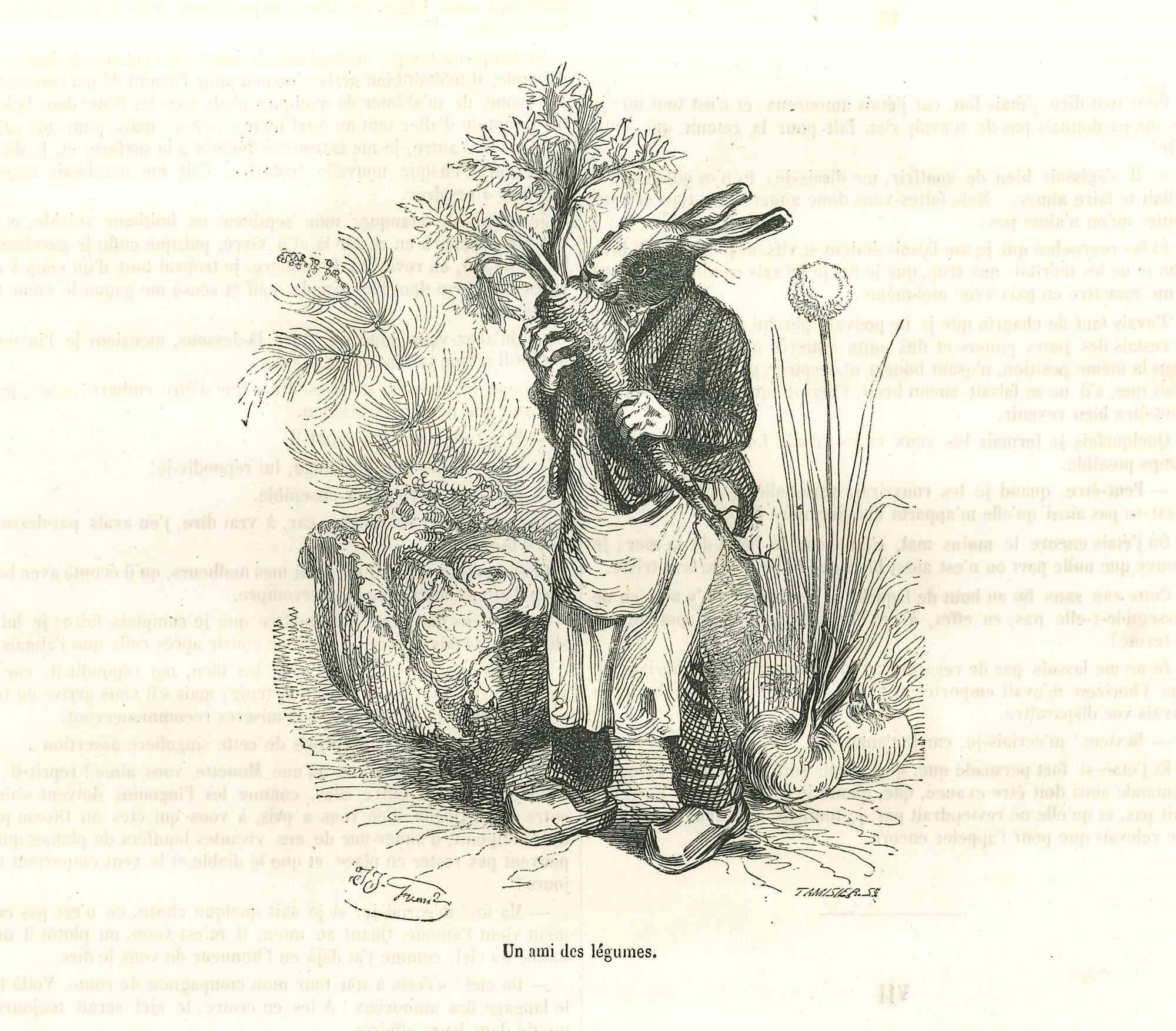 Jean Jeacques Grandville Animal Print - Mr. Bunny Eating A Big Carrot - Lithograph by J.J Grandville - 1852