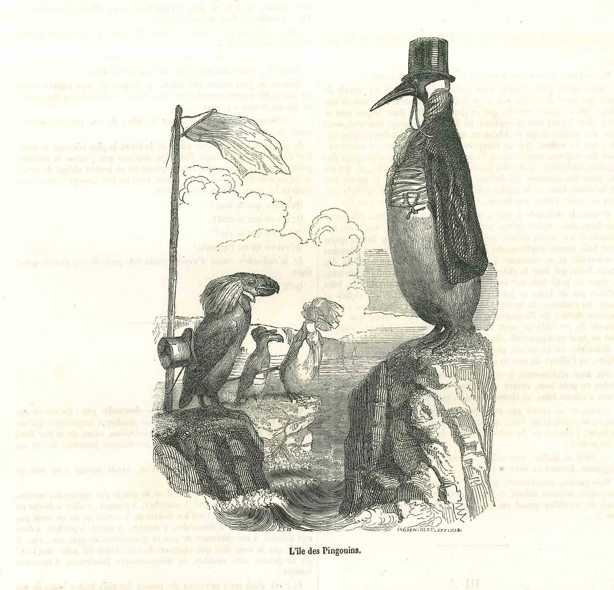 Jean Jeacques Grandville Animal Print - Penguin Island - Animal Fable - Lithograph by J.J Grandville - 1852