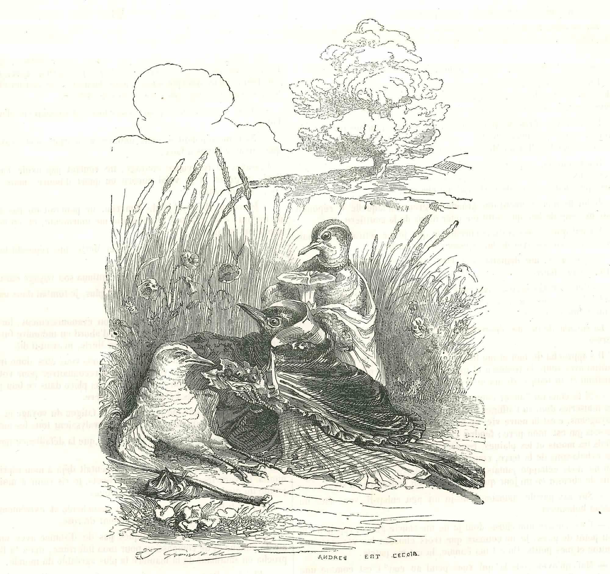 Lithographie « The Bird Ladies On A Picnic Beside Lagoon » (Les femmes oiseaux sur une pique-nique à côté d'une lagon) de J.J Grandville - 1852