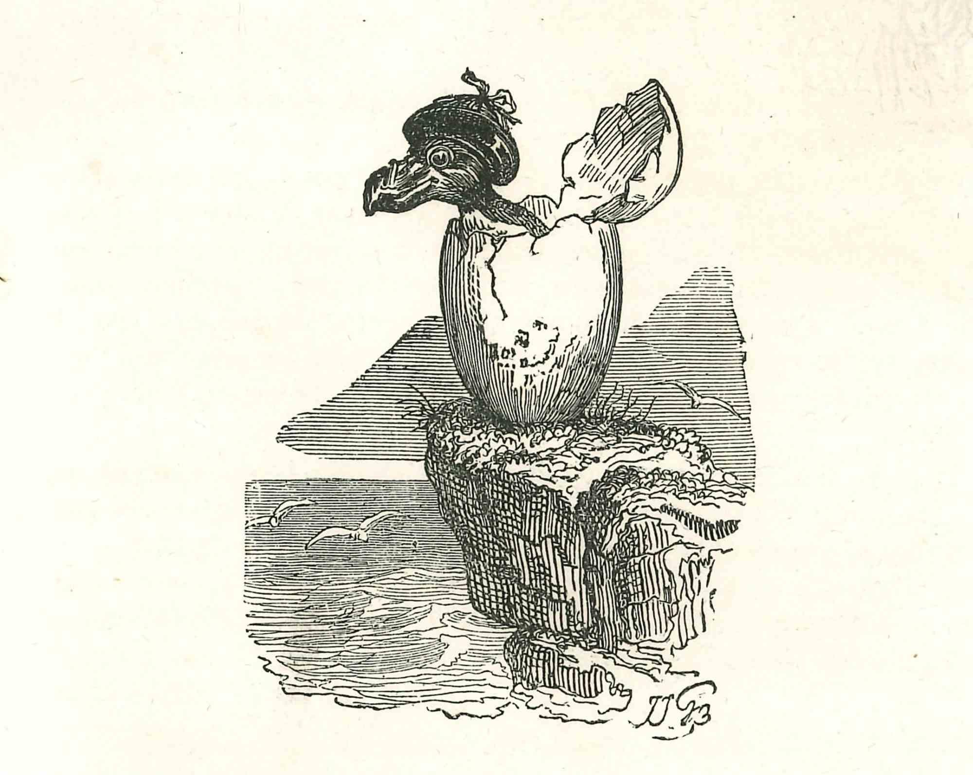 Jean Jeacques Grandville Animal Print - The Birth of the Bird - Original Lithograph by J.J Grandville - 1852