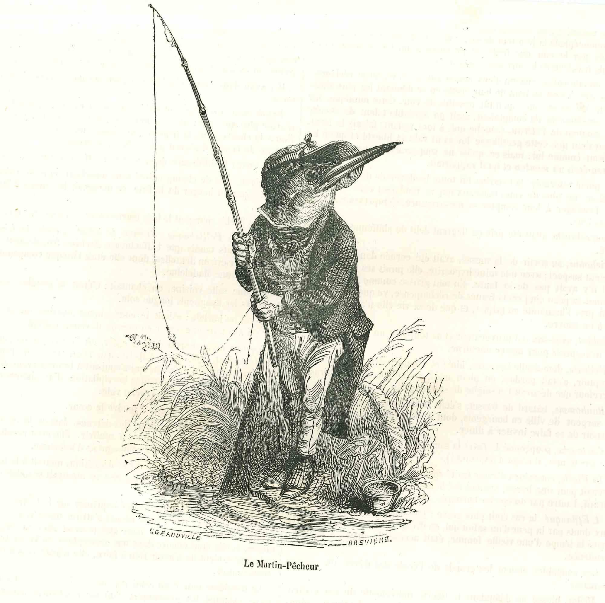 Jean Jeacques Grandville Animal Print - The Fisher-Bird - Original Lithograph by J.J Grandville - 1852
