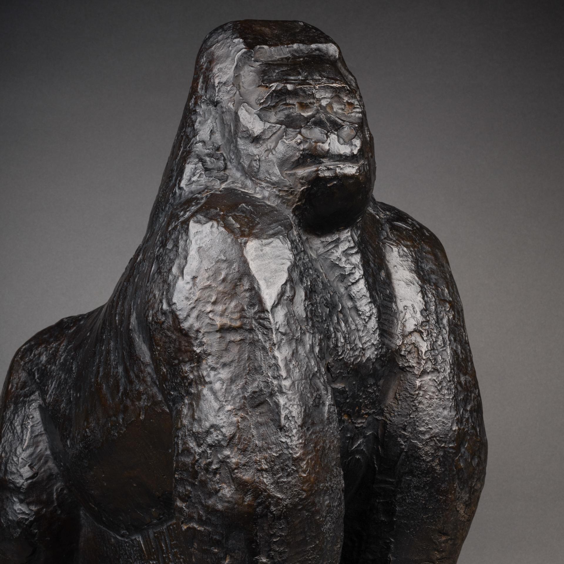 Jean Joachim : Siverback 