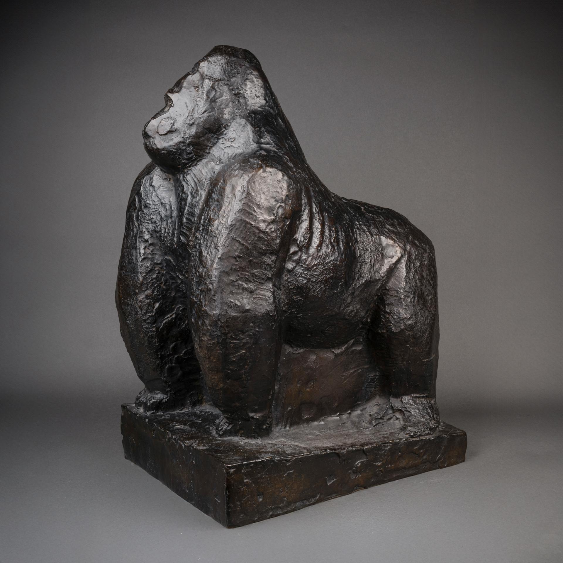 Jean Joachim : Siverback 