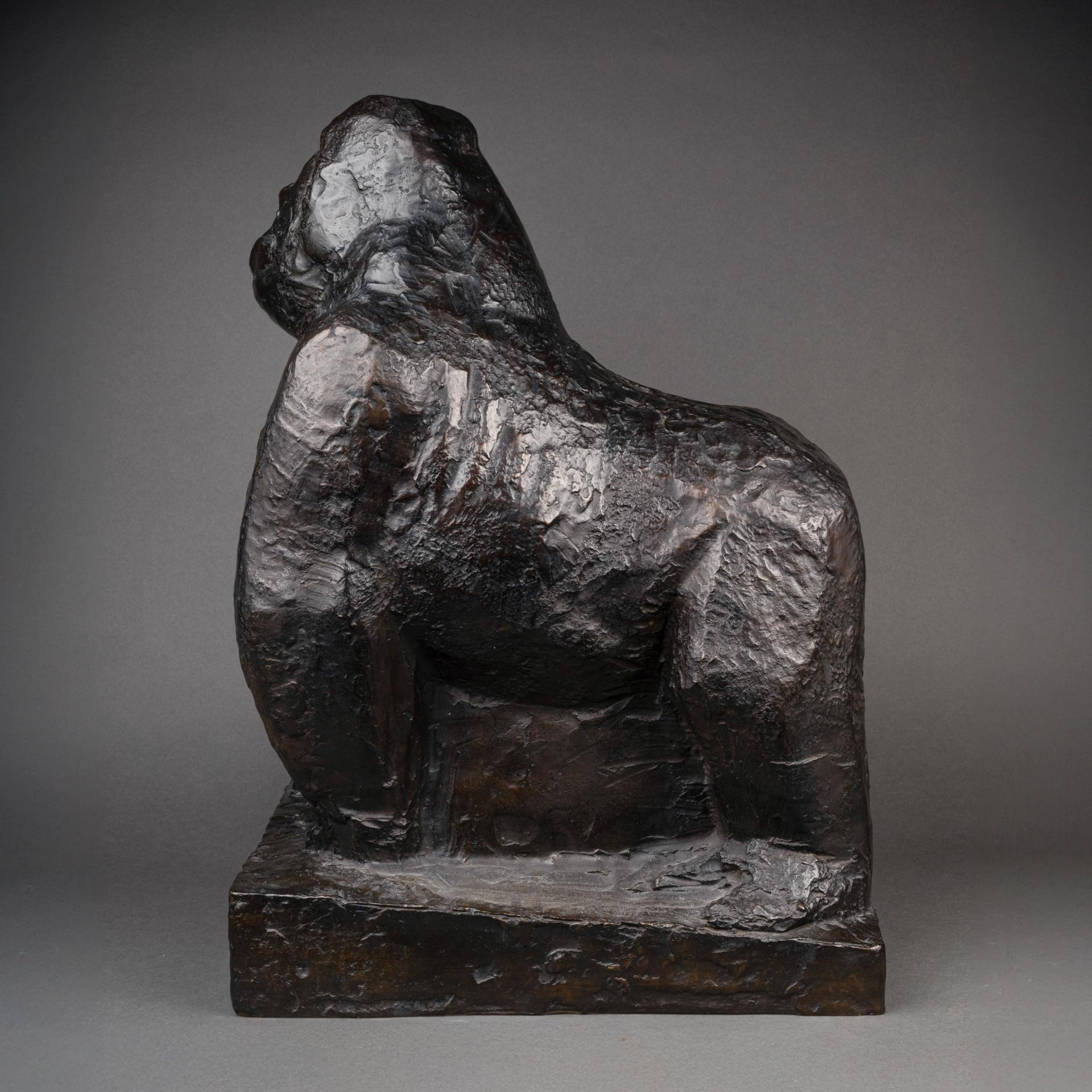 Jean Joachim : Siverback 