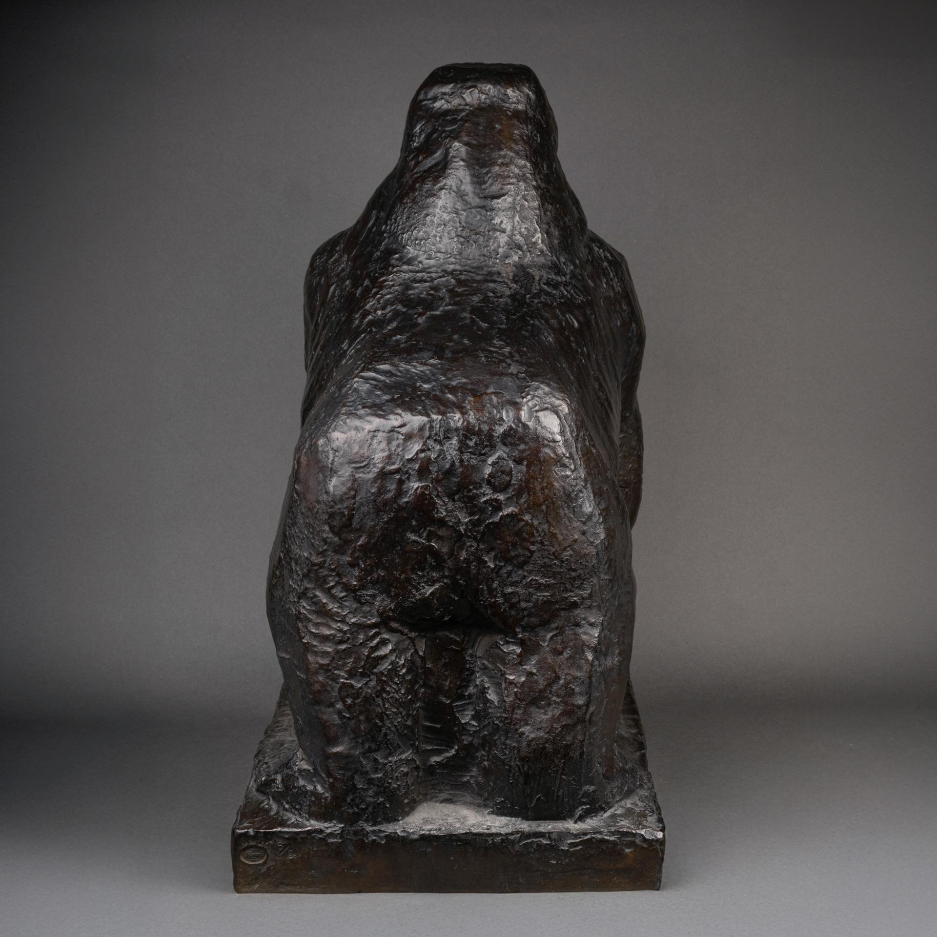 Jean Joachim : Siverback 