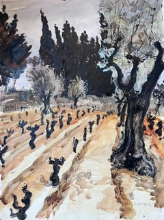 Mid 20th Century French Signed Painting St Remy Provence Olive Grove