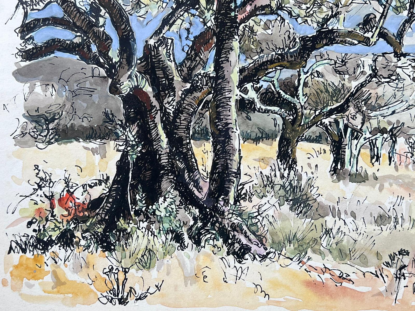 Olive Groves Provence Mid 20th Century French Post Impressionist Painting - Art by Jean Laforgue