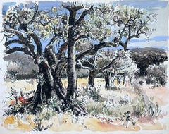 Peinture post-impressionniste française du milieu du 20e siècle, Olive Groves Provence