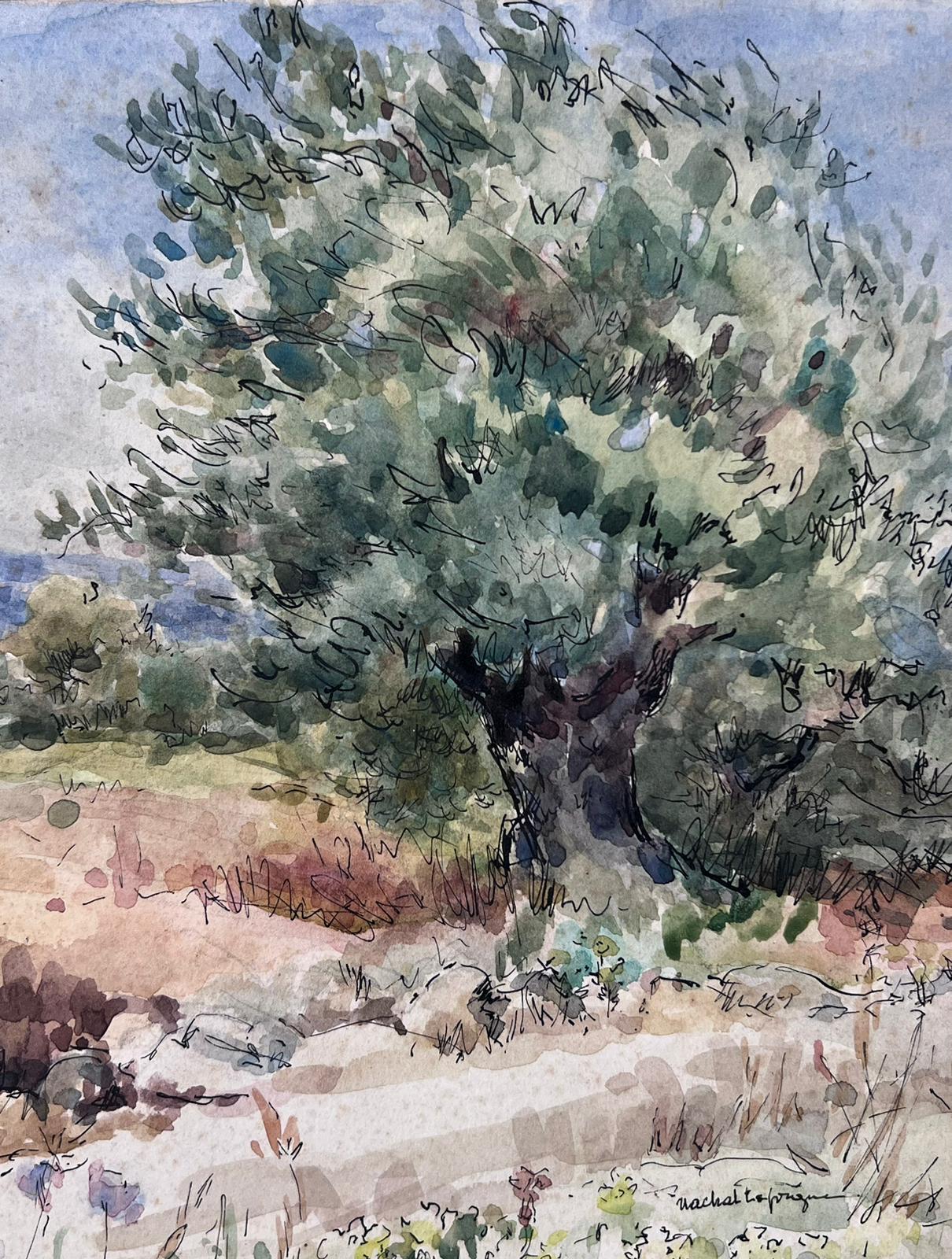 Wild Olive Tree Mitte des 20. Jahrhunderts Französisch Post Impressionist signiert Gemälde