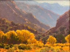 Canyon Atmosphere; Granger Canyon, Surprise Valley, CA