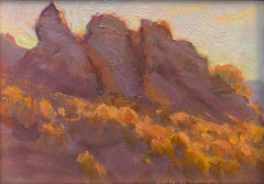 Sonnenuntergang auf den Felsen; Granger Valley, Surprise Valley, Kalifornien