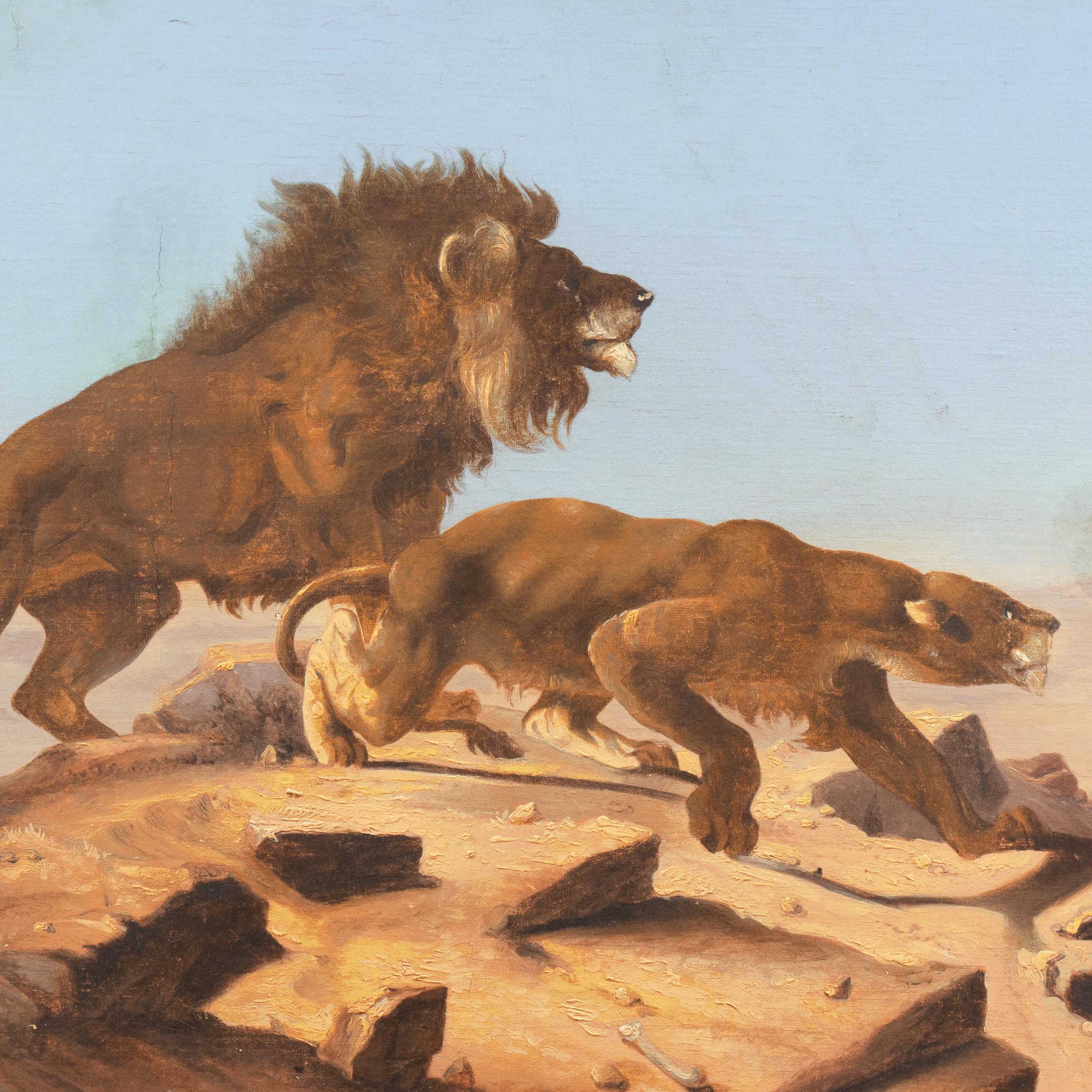  'Lions Observing a Caravan', 19th Century North African Orientalist Gericault  3