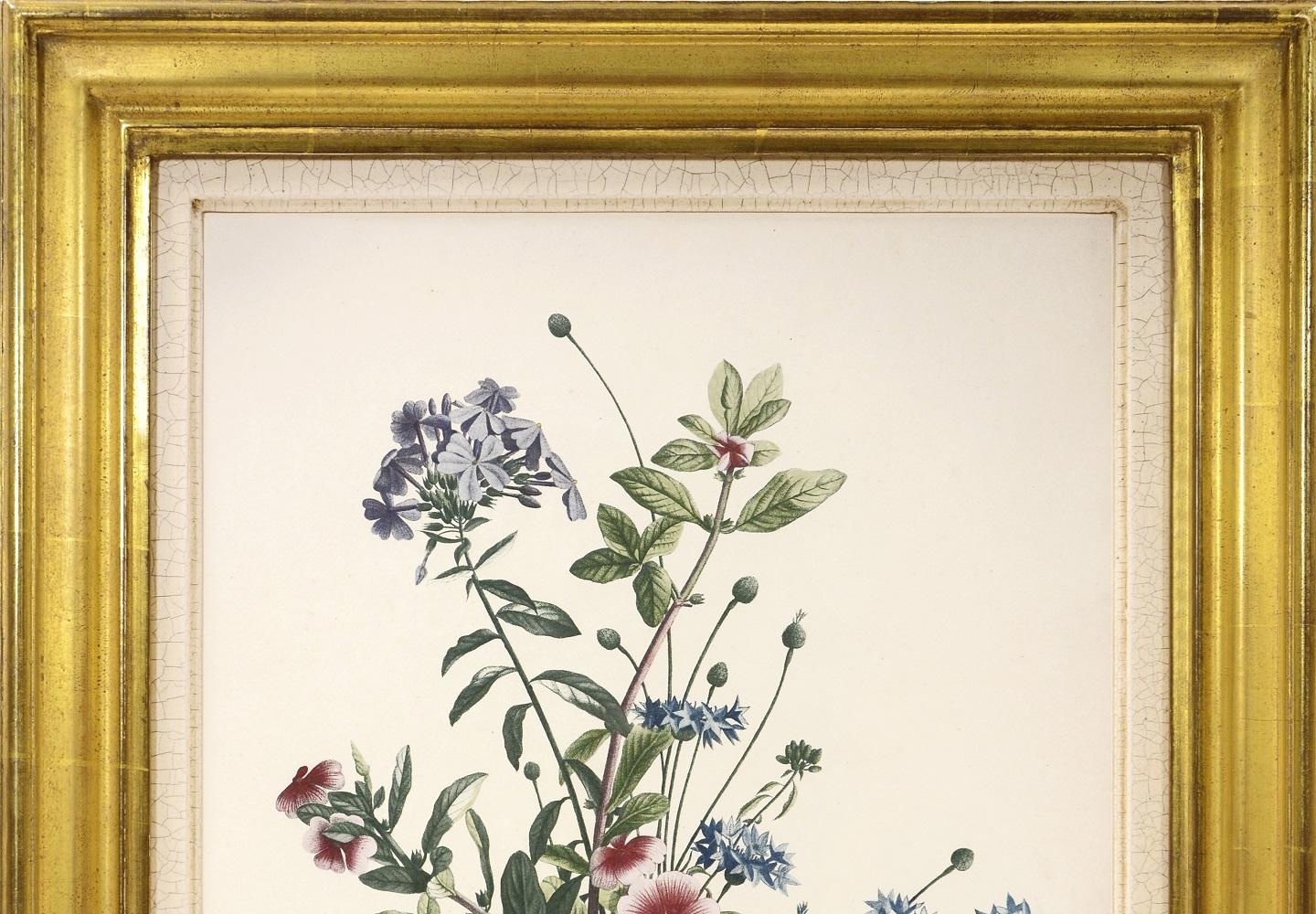 PRÉVOST. Stampa da Collection des Fleurs et des Fruits - Still-Life Print Bianco di Jean Louis Prévost