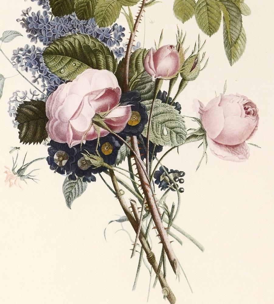 PRÉVOST. Print from Collection des Fleurs et des Fruits - White Still-Life Print by Jean Louis Prévost