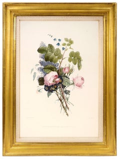 Antique PRÉVOST. Print from Collection des Fleurs et des Fruits