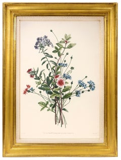 PRÉVOST. Impresión de la Colección de Flores y Frutas