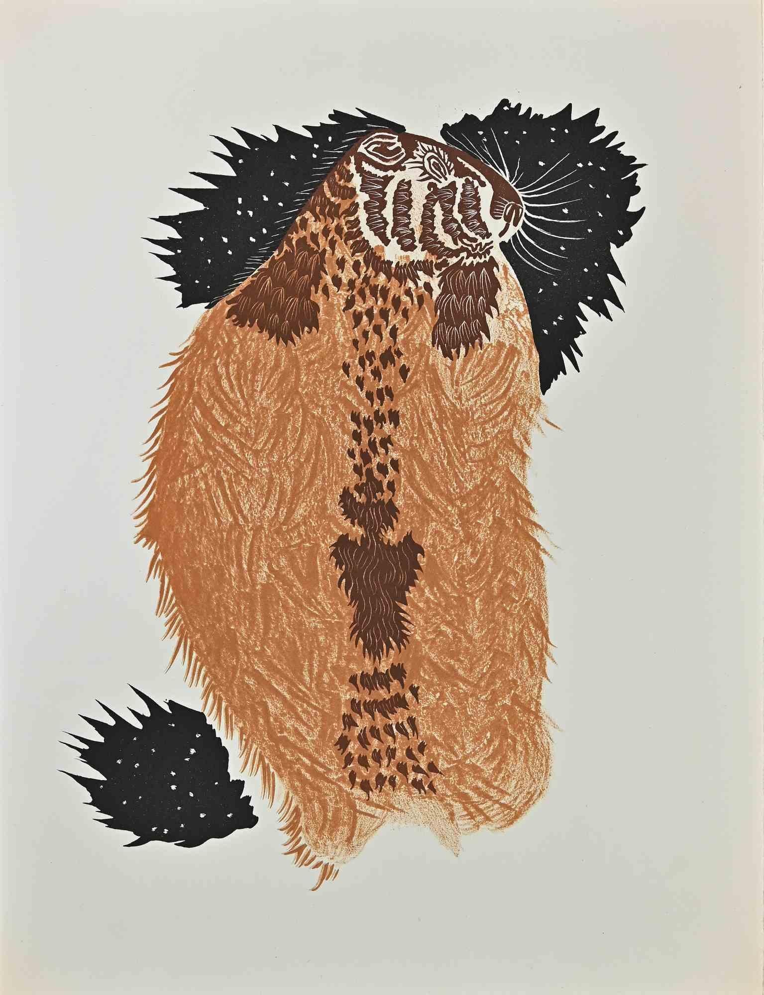 Marmot -Woodcut by Jean Lurçat - 1948