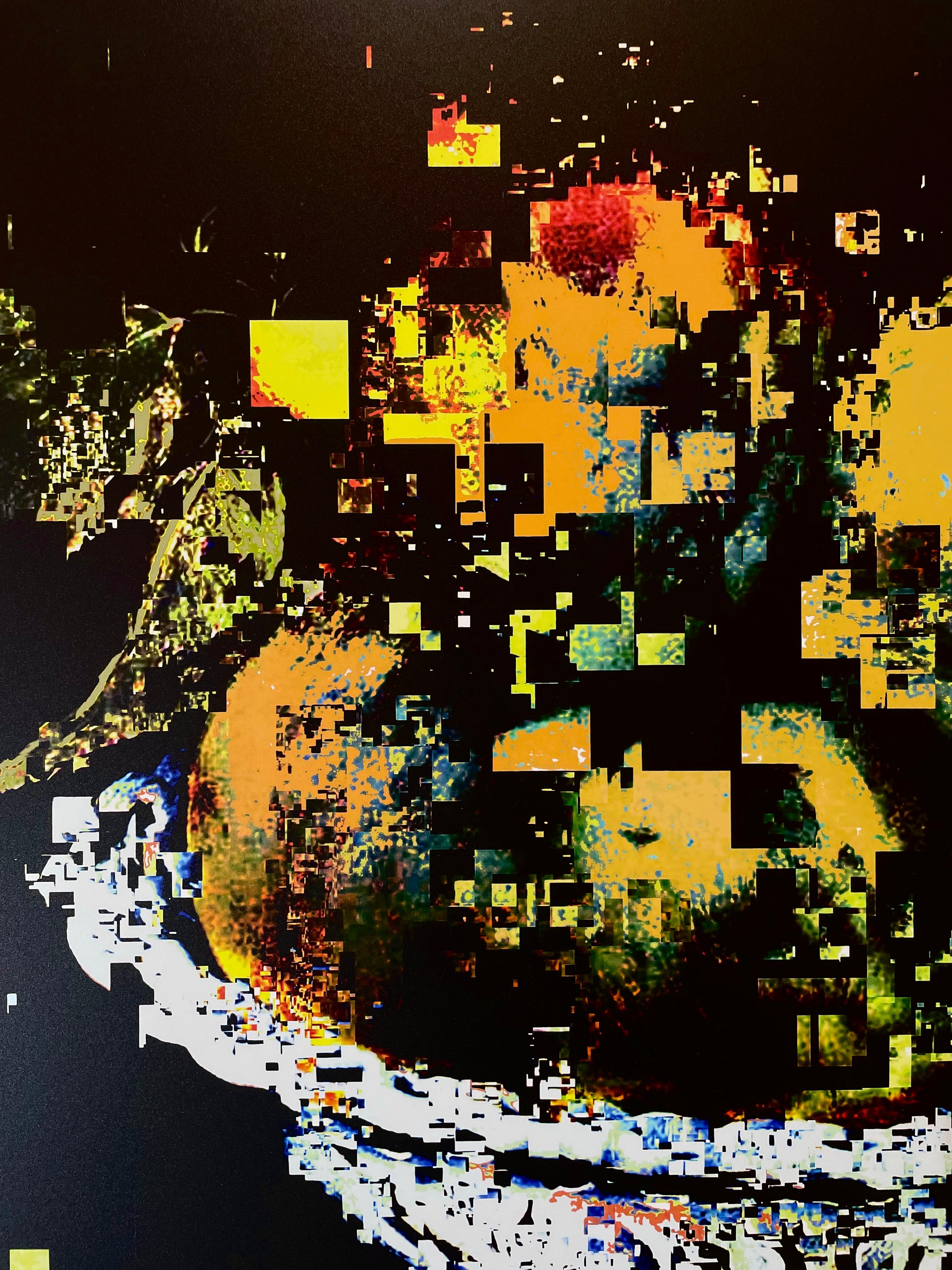 Le opere di Jean-Marie Guyaux sono uniche per la loro miscela di acquisizione digitale e software non fotografico. Nella serie 