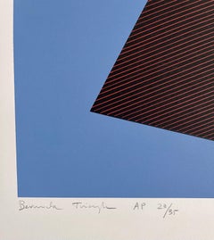 Jean-Marie Haessle Stampa litografica astratta geometrica Op Art in serigrafia