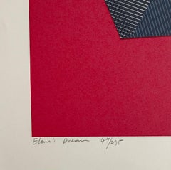 Jean-Marie Haessle Stampa litografica astratta geometrica Op Art in serigrafia