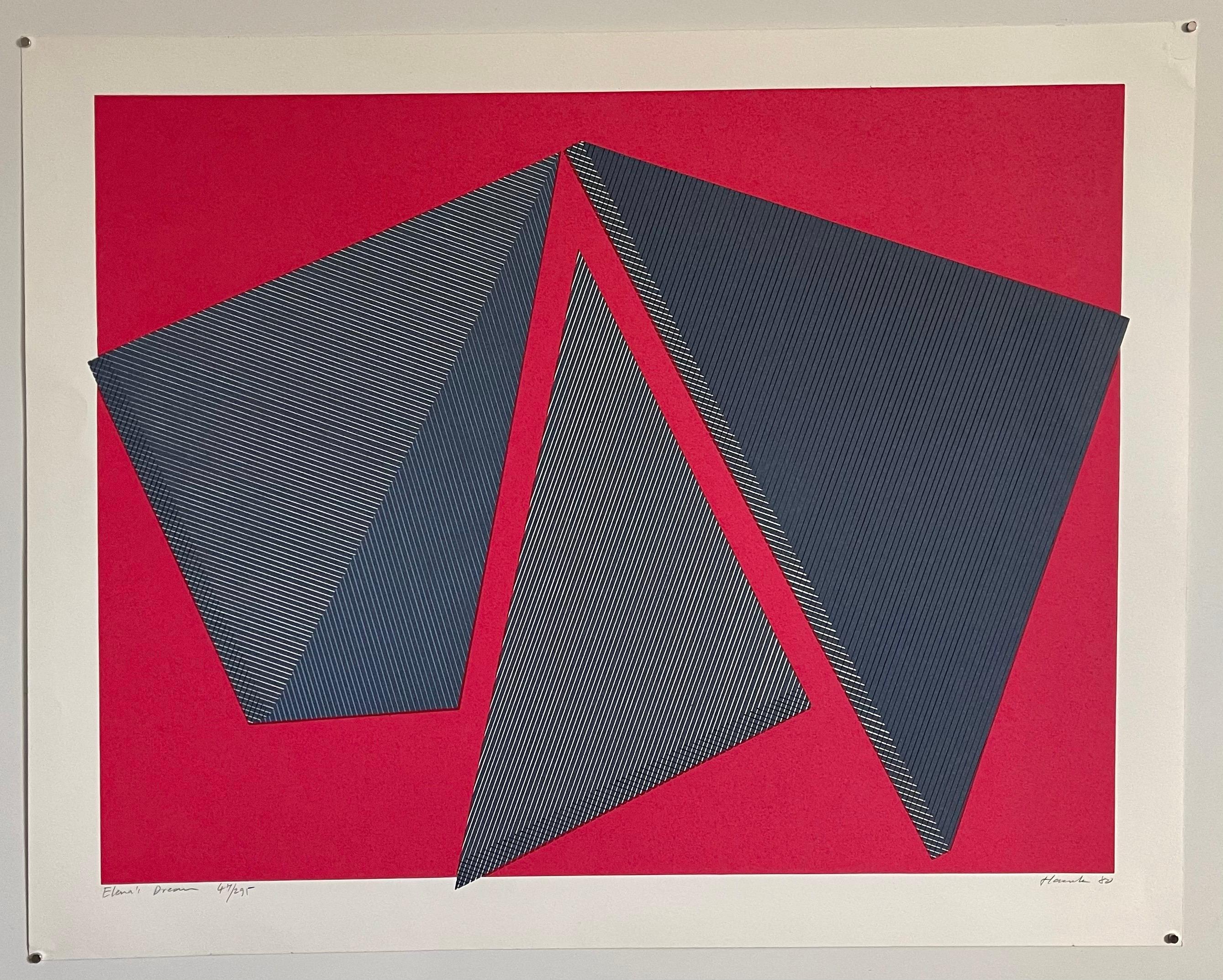 Jean Marie Haessle Abstract Geometric Op Art Silkscreen Lithograph Print For Sale 1