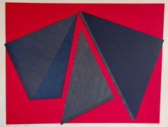 Abstrakter geometrischer Op-Art-Seidendruck mit Lithographie von Jean Marie Haessle